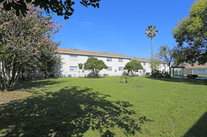Lakeland apartment for rent - A building is behind a green lawn with a tree and bushes in front.
