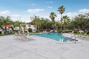 Tampa apartment for rent - A pool surrounded by palm trees and lounge chairs.