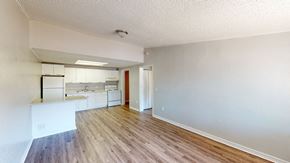 Mt. Dora apartment for rent - a kitchen and living room in an apartment
