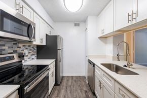 Tampa apartment for rent - the preserve at ballantyne commons apartment kitchen with stainless steel appliances  at Fisherman's Landing Apartment Homes, Tampa, 33637