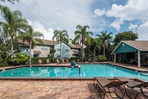 Palm Harbor apartment for rent - the swimming pool at our apartments at Madison Oaks Apartment Homes, LLC, Palm Harbor, 34684