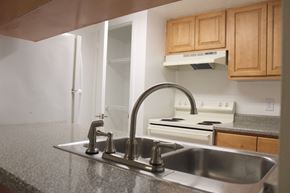 Tampa apartment for rent - an empty kitchen with a sink and a faucet at Sunscape Apartment Homes, Tampa, 33613