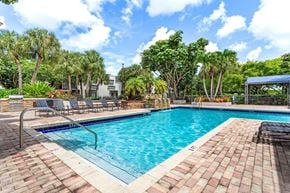 Lauderhill apartment for rent - a swimming pool with trees and chairs around it at Waterford Park Apartment Homes, LLC, Lauderhill, FL 33319