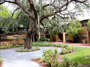 Tampa apartment for rent - a courtyard with a tree and a building in the background at Oak Manor Apartment Homes, Tampa, FL, 33617