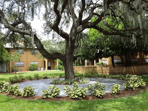 Tampa apartment for rent - A serene courtyard view of a green space and sitting area with the community in the background.