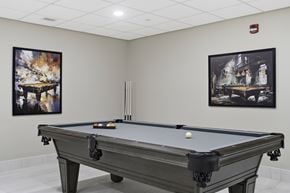 Belleville apartment for rent - A pool table with a white ball on it.