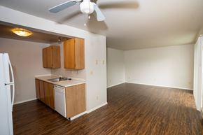 Bellingham apartment for rent - A kitchen with a white fridge and wooden cabinets.