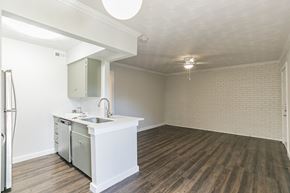 Dallas apartment for rent - Kitchen and Living Room