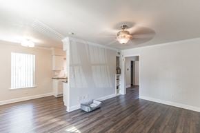 Dallas apartment for rent - Living Room