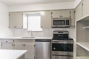 Dallas apartment for rent - Kitchen