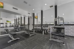 Dallas apartment for rent - a gym with weights and cardio equipment at the estates at johnston crossing apartments at Lakeside Apartments, Dallas, TX, 75231