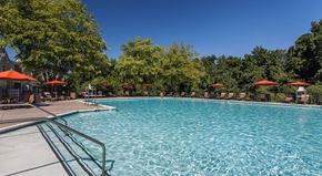 Pikesville apartment for rent - Pool at Courts of Avalon, Pikesville, MD