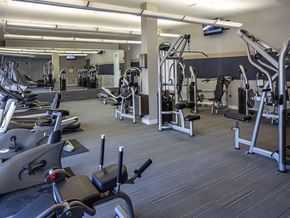 Rockville apartment for rent - a gym with weights and cardio equipment in a building