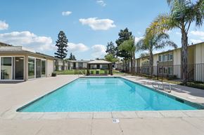 Camarillo apartment for rent - A swimming pool surrounded by trees and buildings.