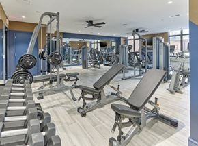 Bayonne apartment for rent - A gym with a variety of equipment including dumbbells, weight machines, and benches.