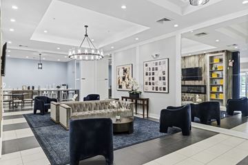 Iselin apartment for rent - A modern living room with a dark blue rug and a chandelier.