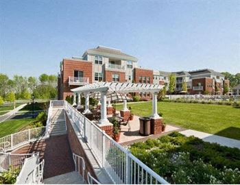 Rooftop terrace with white pergola and landscaped courtyard