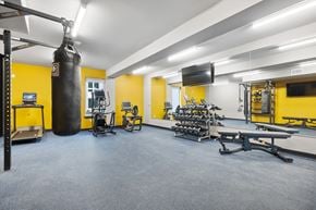 Allendale apartment for rent - A gym with a punching bag, weights, and exercise equipment.