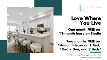 Kitchener apartment for rent - A promotional image for Lumina offers free lease periods on their studio apartments.