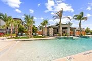 Sarasota apartment for rent - A swimming pool surrounded by palm trees and a house in the background at The Concord Luxury Apartments, Sarasota, FL