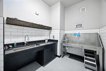 Pet wash station