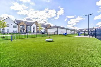 A grassy field with a bench