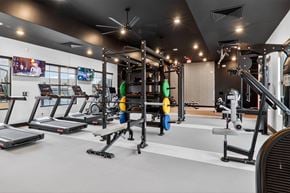 Nampa apartment for rent - A gym with treadmills, exercise bikes, and other equipment.at The Logan Luxury Apartments, Nampa, ID, 83651