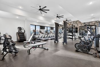 Fully equipped gym