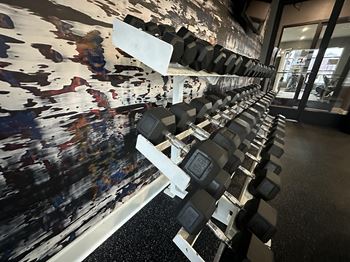 A row of dumbbells in a gym with a painting on the wall