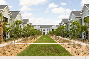Lawn in front of the houses