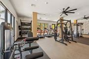 Sarasota apartment for rent - A well-equipped gym with a variety of exercise machines and a ceiling fan.