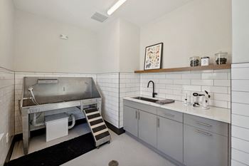 Pet wash station