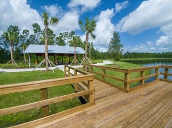 Waterfront deck with pavilion and palm trees