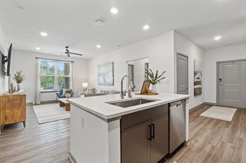 Kitchen and living area