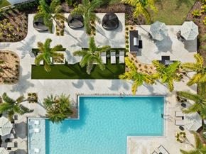 North Port triplex for rent - An aerial view of a pool surrounded by palm trees and lounge chairs.