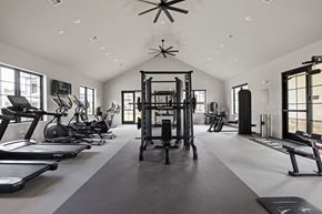 Mcdonough apartment for rent - Fitness Center at The Levi Luxury Apartments, McDonough, 30253