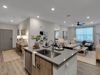 Kitchen and living