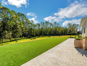 A view of a yard and a house