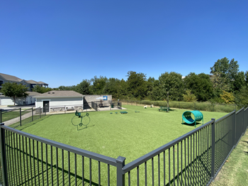 Dog park