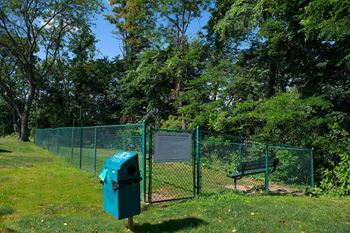 Dog park