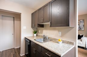 Winnipeg apartment for rent - A kitchen with a granite countertop and dark brown cabinets.
