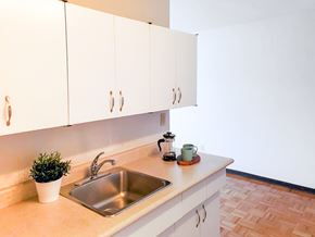 Winnipeg apartment for rent - Spacious kitchen counter with white cabinets, stainless steel sink, and modern decor at 1025 Munroe pet-friendly apartments in Winnipeg.