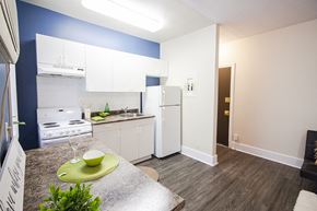 Winnipeg apartment for rent - Studio Suite at 389 Balmoral Apartments for rent in Winnipeg