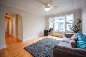 Winnipeg apartment for rent - A living room with a grey couch and a black rug.