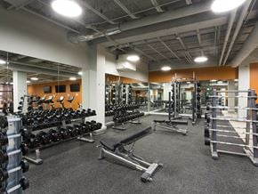 Winnipeg apartment for rent - Fitness Equipment at 190 Smith Apartment Suites
