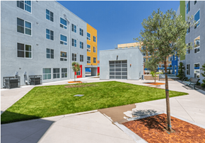 San Ysidro apartment for rent - A tree in a brown planter sits in the middle of a grassy area between two buildings.