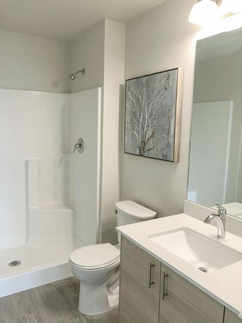 Bathroom with walk-in shower