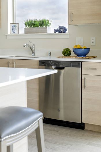 Kitchen dishwasher