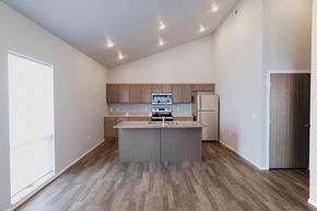 Sioux Falls apartment for rent - a kitchen with stainless steel appliances and wooden floors