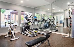 Houston apartment for rent - Cardio Studio Equipment at The Daphne Apartments, The Barvin Group, Houston, TX, 77054